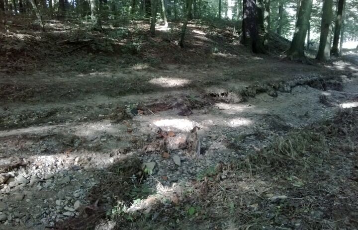 Uferauswaschungen nach Mulde-Flut - Link: Wasser marsch & neue Projektkoordination