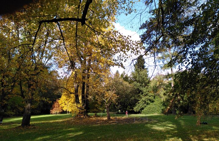 3. Parkpflegeseminar Wechselburg: Blick südlich der großen Parkwiese