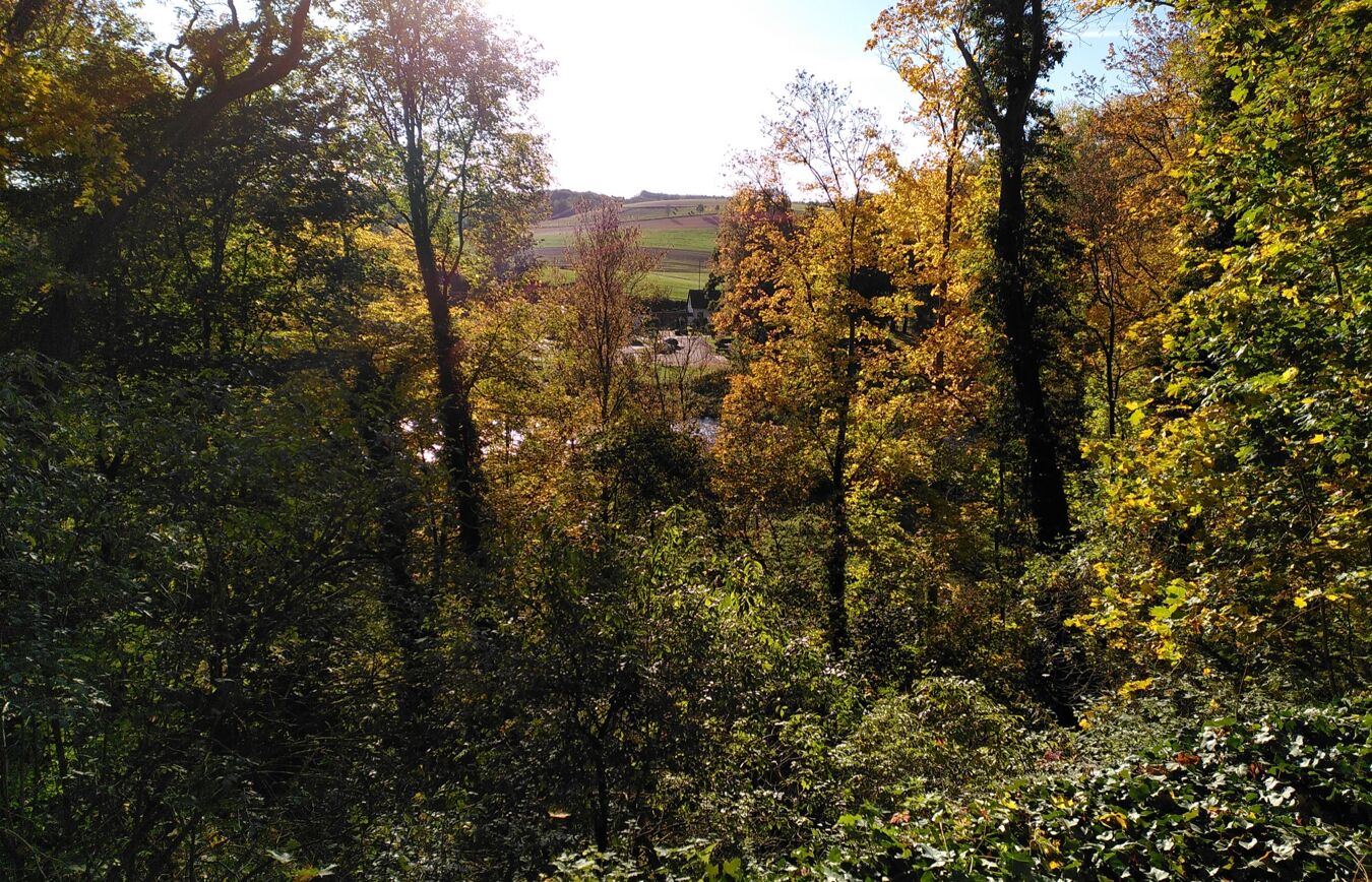 Freigestellt: Blick zur Zwickauer Mulde