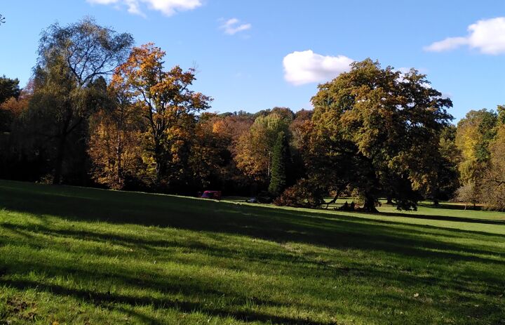 3. Parkpflegeseminar Wechselburg: Blick über die große Parkwiese