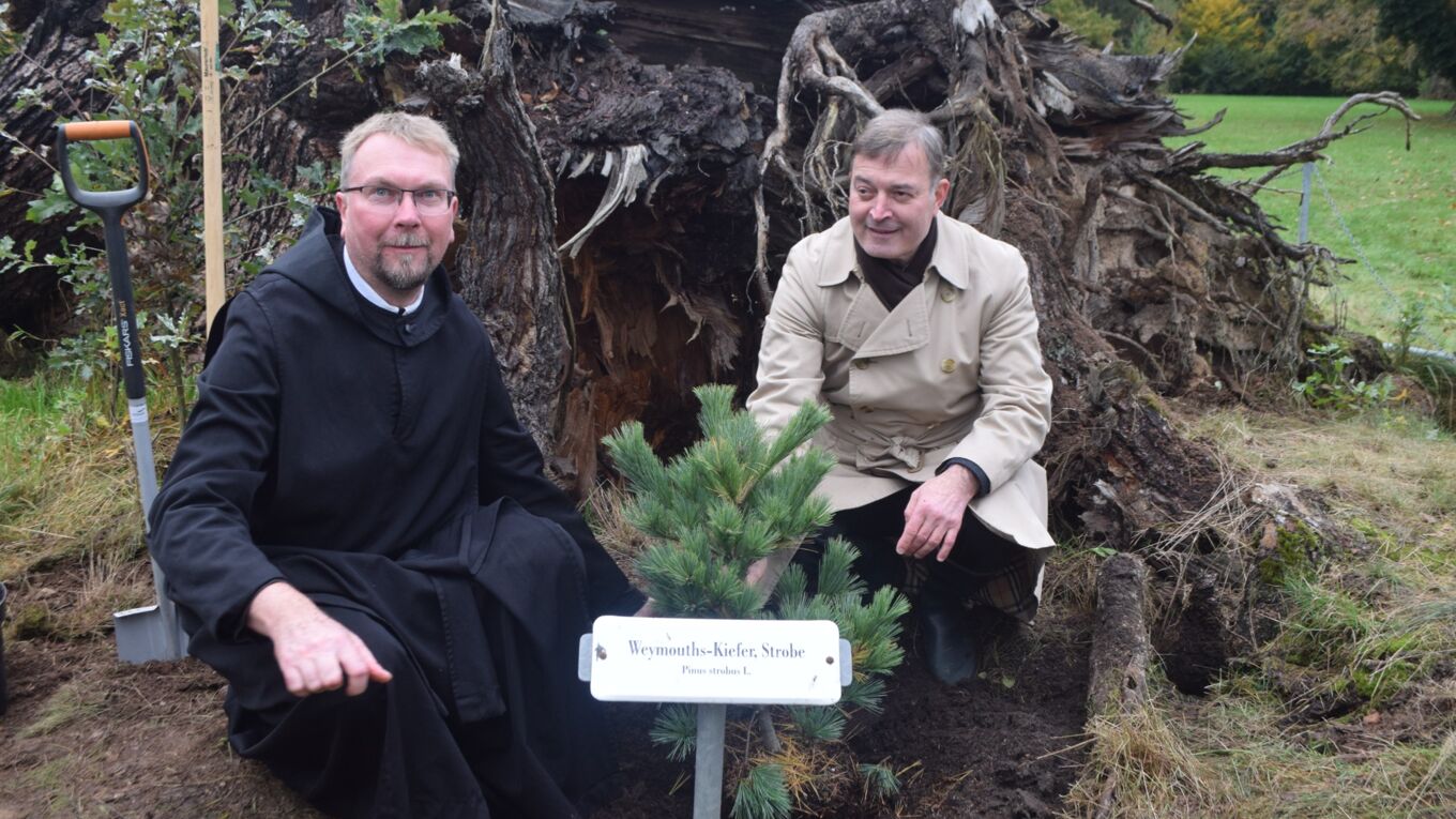 3. Parkpflegeseminar Wechselburg: Pflanzung Weymouthkiefer durch Robert Clemen (Stiftungsdirektor LaNU) und Frater Viktor