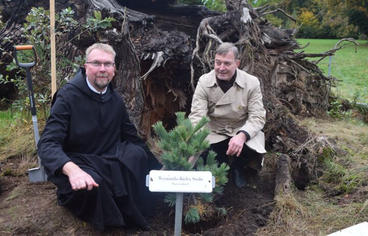 3. Parkpflegeseminar Wechselburg: Pflanzung Weymouthkiefer durch Robert Clemen (Stiftungsdirektor LaNU) und Frater Viktor